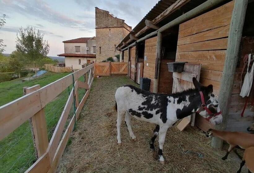 Bed and Breakfast Villa Les Hauts Vallons