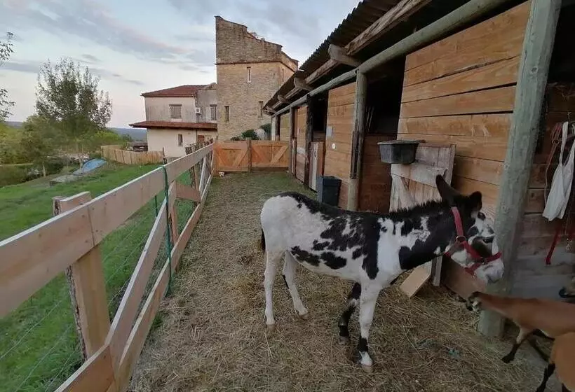 Aamiaismajoitus (B&B) Villa Les Hauts Vallons
