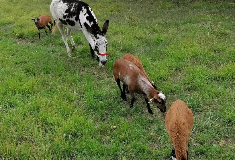 Aamiaismajoitus (B&B) Villa Les Hauts Vallons