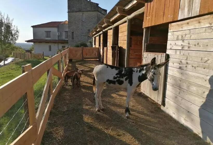 Aamiaismajoitus (B&B) Villa Les Hauts Vallons