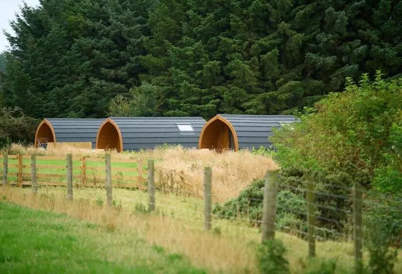 ホテル Braeview Glamping