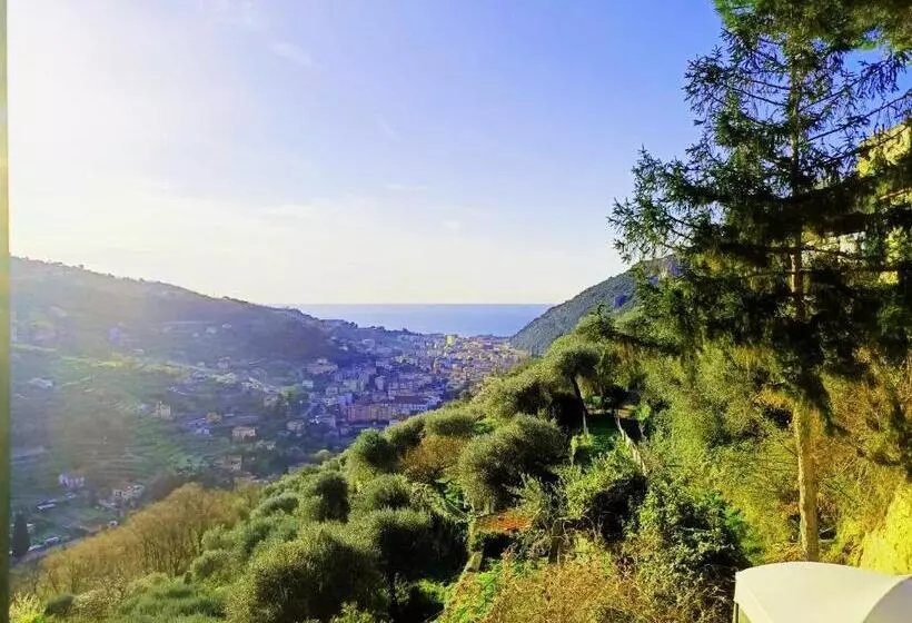 Pensione Cà Degli Ulivi