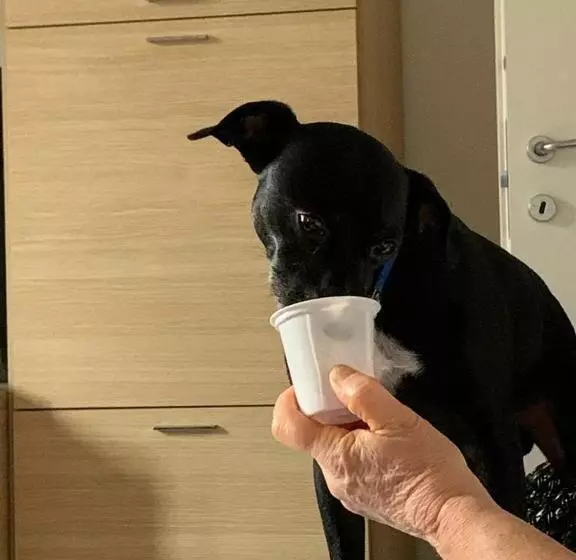 Pensione Cà Degli Ulivi