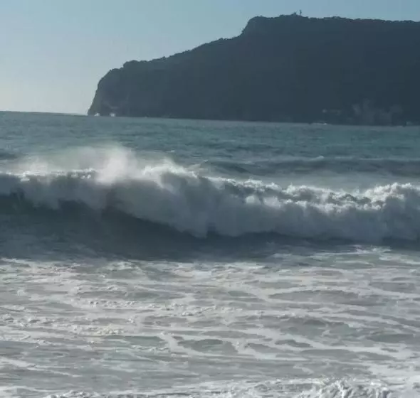 Pensione Cà Degli Ulivi