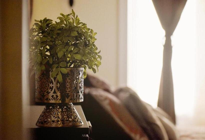 膳宿费 Villa Luna