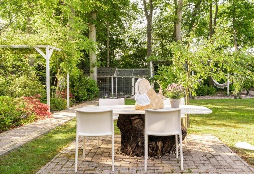 Bed and Breakfast Ridderstee Ouddorp Duin