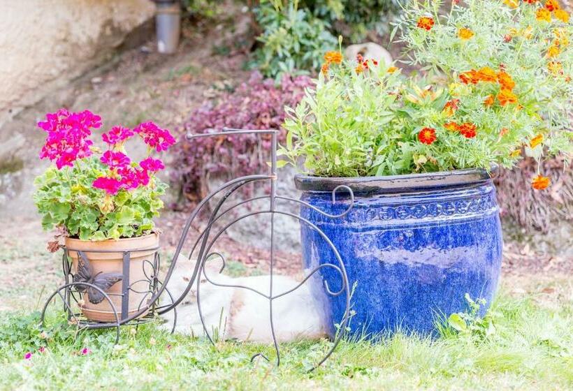 Bed and Breakfast Chambres Et Table D Hôtes Floromel La Souterraine En Rez De Chaussee