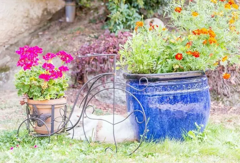ベッドアンドブレックファースト Chambres Et Table D Hôtes Floromel La Souterraine En Rez De Chaussee
