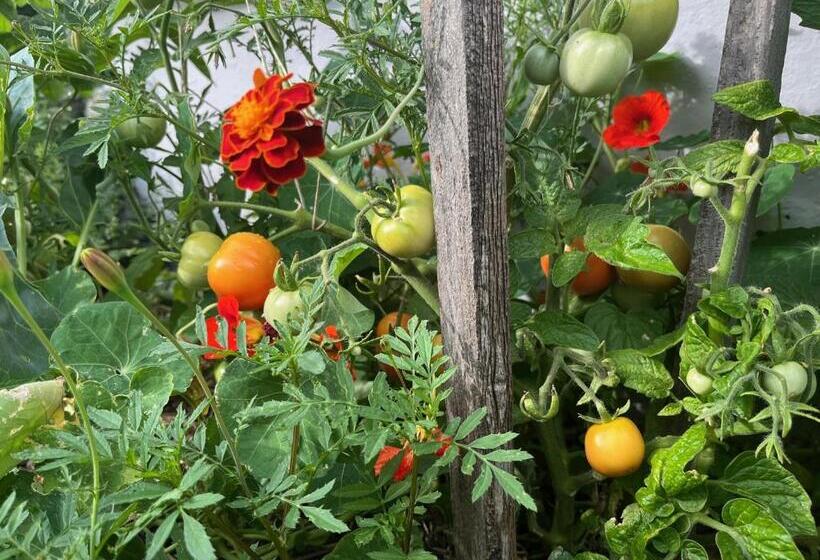 酒店 Hôtel Restaurant Eden