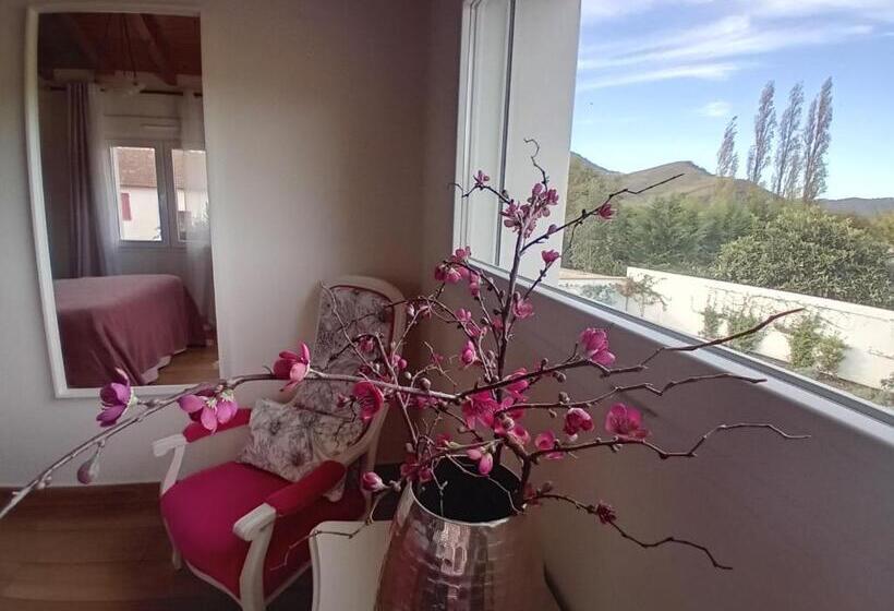 פנסיון Atalozti Maison D Hôtes St Jean Pied De Port