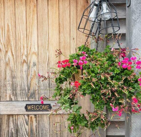 Pensjonat Ddog Vineyard & Bnb