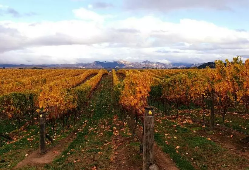 Majatalo Ddog Vineyard & Bnb