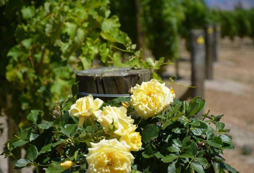 Pensjonat Ddog Vineyard & Bnb