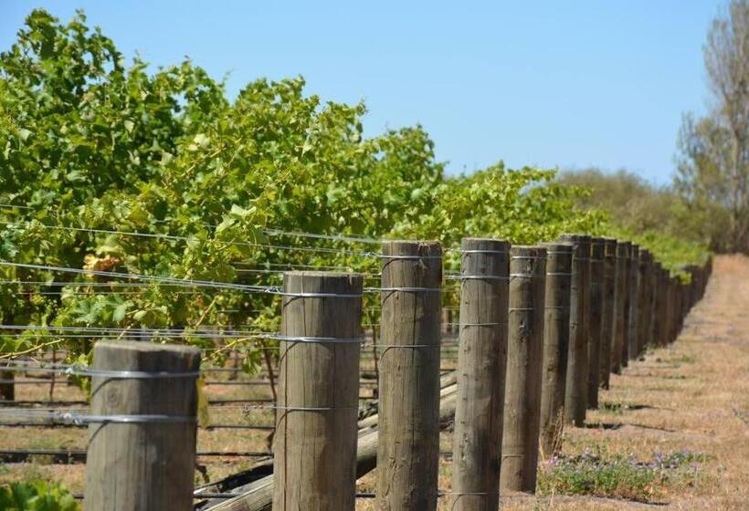 Pensjonat Ddog Vineyard & Bnb