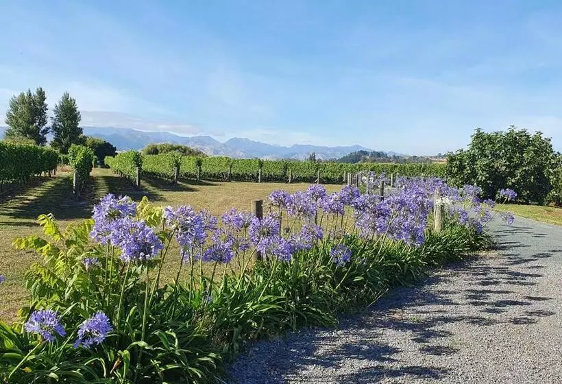 Majatalo Ddog Vineyard & Bnb