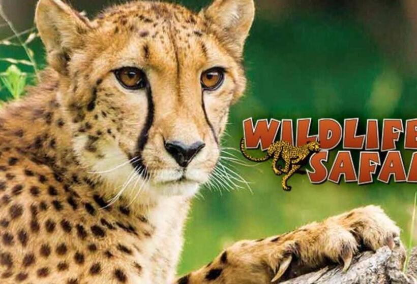 펜션 Historical John Rast House Circa 1875