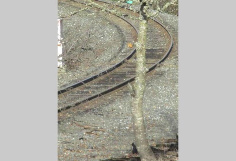 펜션 Historical John Rast House Circa 1875