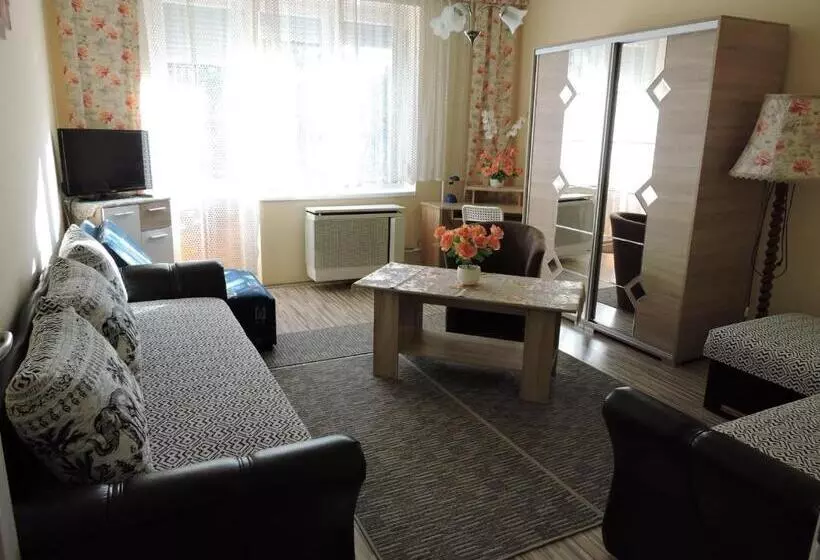 ペンション Melinda Apartman