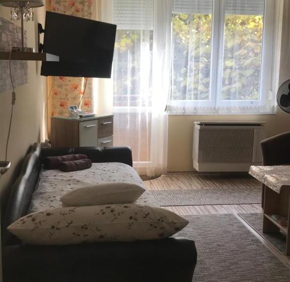 펜션 Melinda Apartman