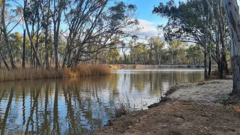 ペンション Riversands Rest Accommodation Paringa Coobah Cottage
