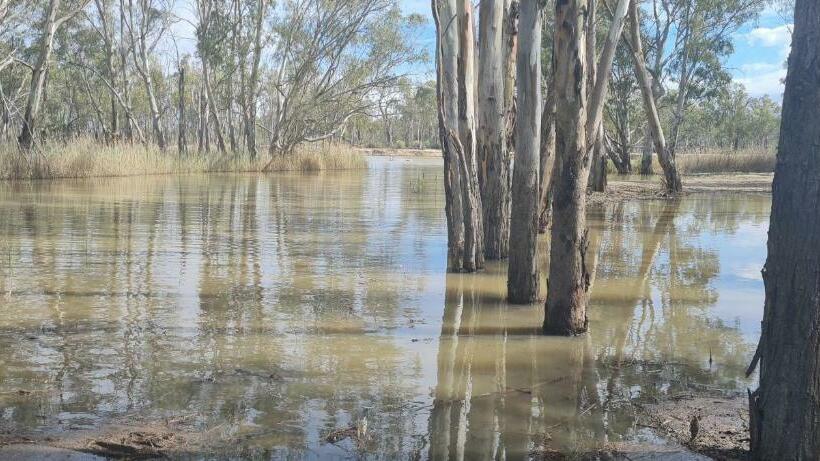 بنسيون Riversands Rest Accommodation Paringa   Coobah Cottage