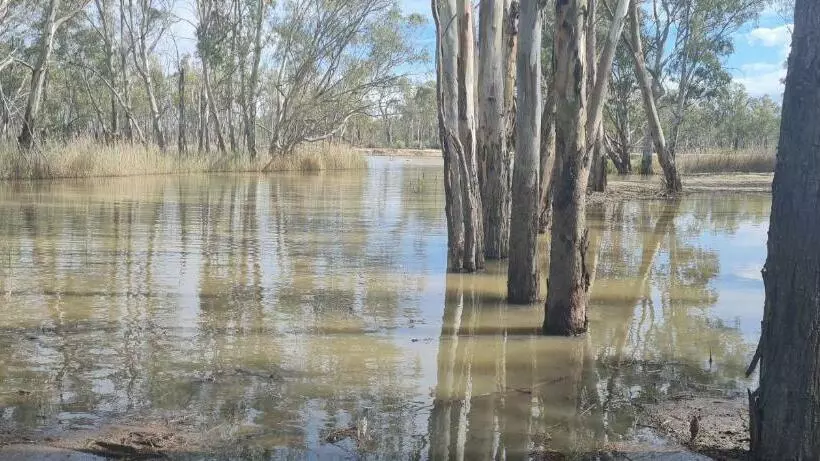 ペンション Riversands Rest Accommodation Paringa Coobah Cottage