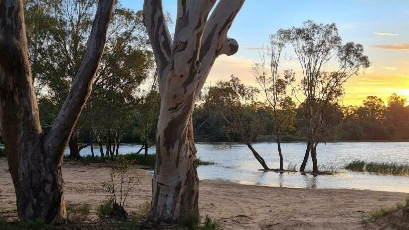 بنسيون Riversands Rest Accommodation Paringa   Coobah Cottage