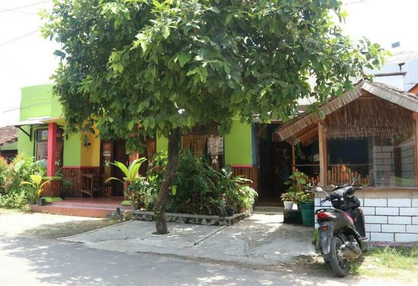 Owl Hostel Karimunjawa