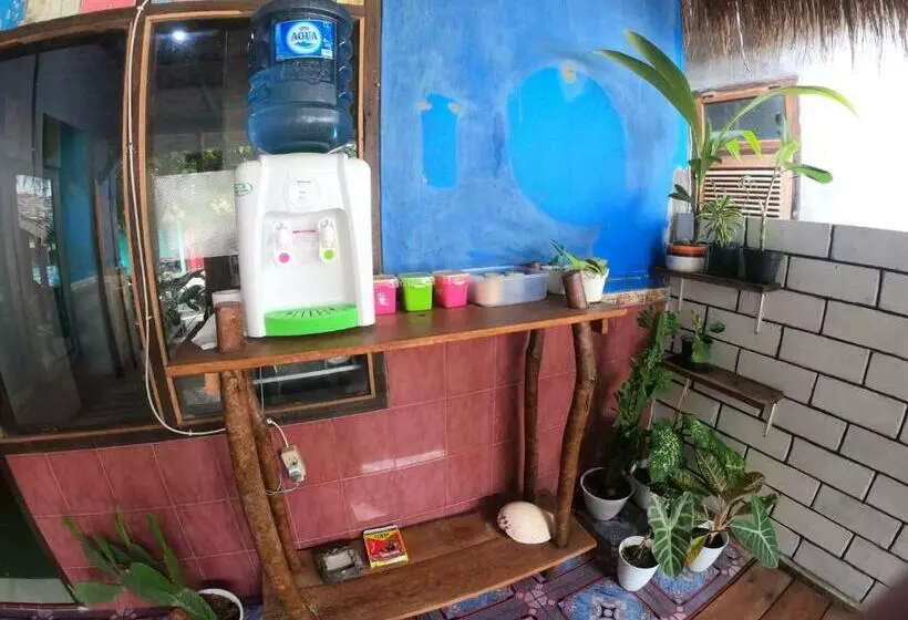 Owl Hostel Karimunjawa