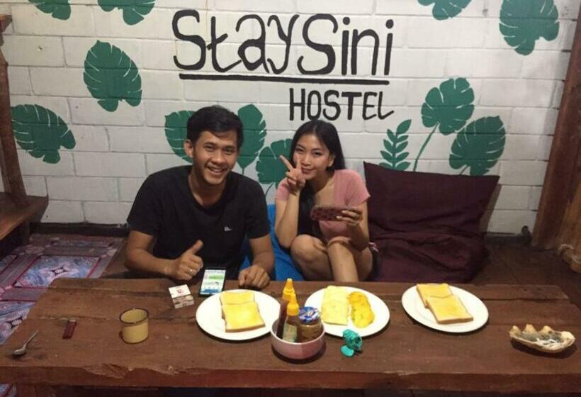 Owl Hostel Karimunjawa
