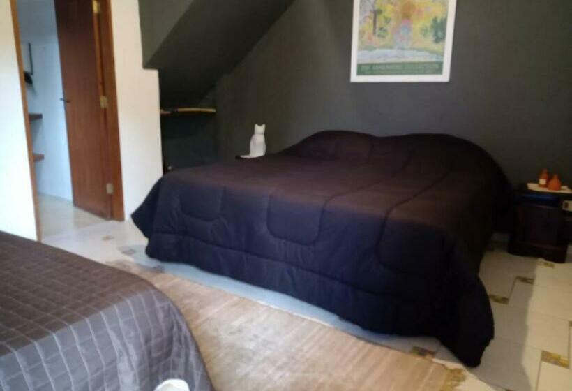 ユースホステル Flor De Jagube Guest House