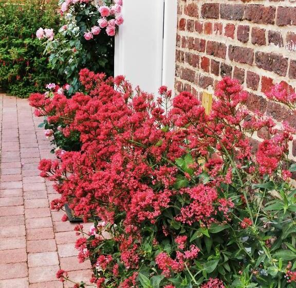 تختخواب و صبحانه Chez Hortense