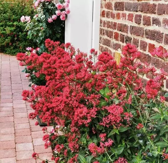 Aamiaismajoitus (B&B) Chez Hortense