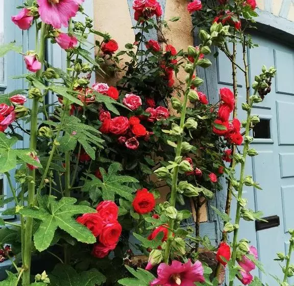 Aamiaismajoitus (B&B) Chez Hortense