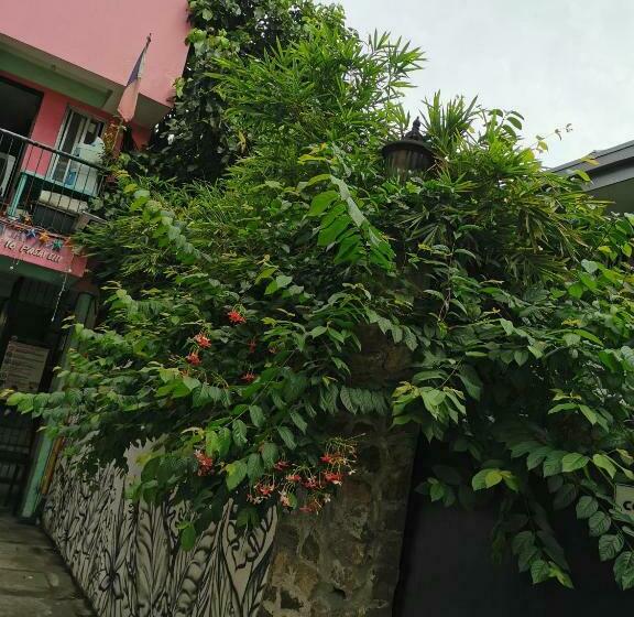 Bed and Breakfast Flipflops Hostel