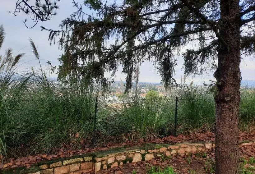 تختخواب و صبحانه Foresteria Santa Maria Di Betlem