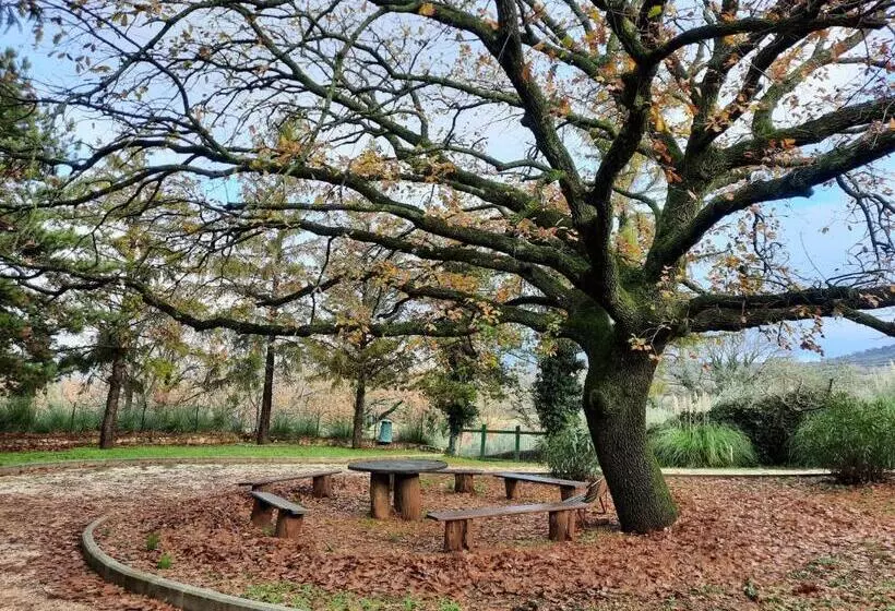 تختخواب و صبحانه Foresteria Santa Maria Di Betlem