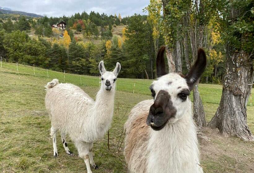 펜션 La Ferme Du Riouclar