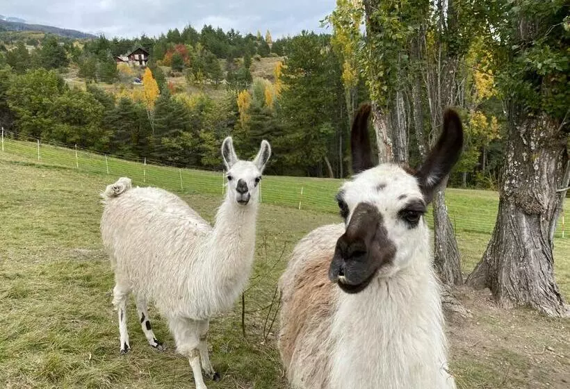Majatalo La Ferme Du Riouclar