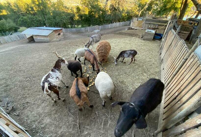 펜션 La Ferme Du Riouclar