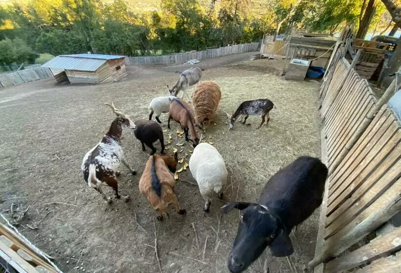 Majatalo La Ferme Du Riouclar