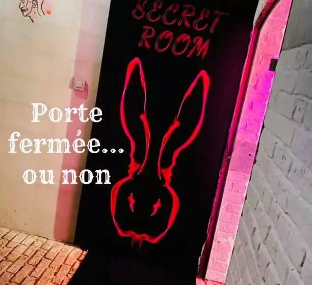 ペンション Secret Room Votre Love Coquine Et Insolite En Espace Privatif A Tournai