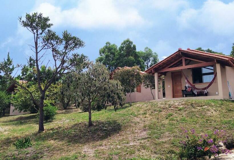 הוסטל Toca Dos Coelhos Chalés Espaço De Renovação De Energias