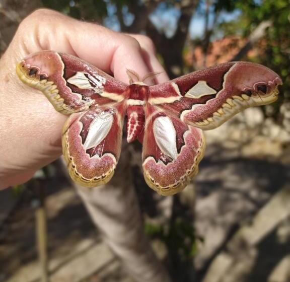 הוסטל Toca Dos Coelhos Chalés Espaço De Renovação De Energias