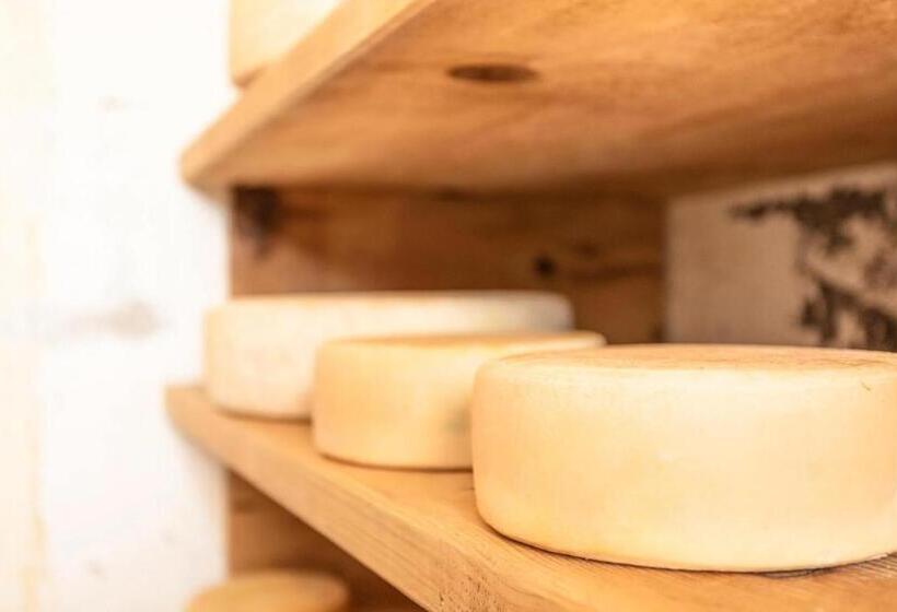 Bed and Breakfast Bergbauernhof Seetalhof