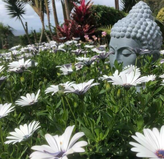 تختخواب و صبحانه Maderedocevida