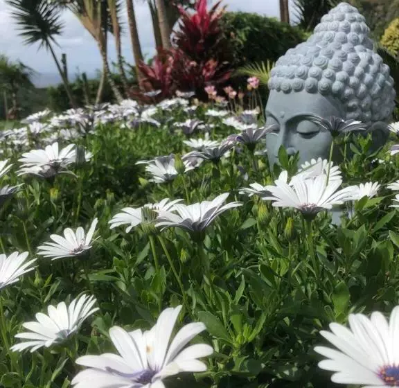 Aamiaismajoitus (B&B) Maderedocevida