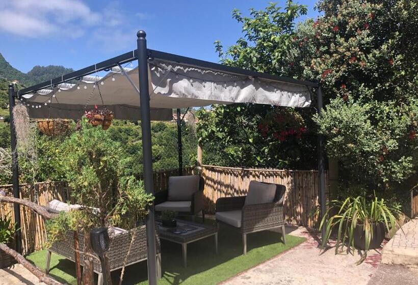 تختخواب و صبحانه Maderedocevida