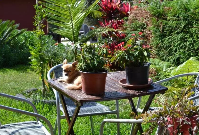 Aamiaismajoitus (B&B) Maderedocevida