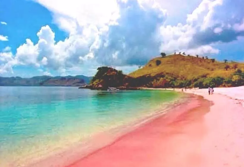 Hotelli Villa De Owis